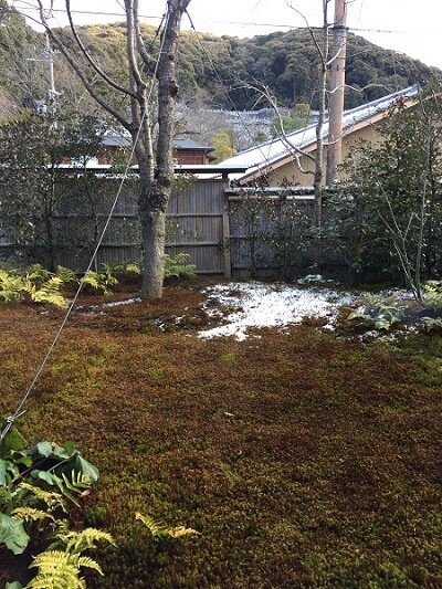 japanese garden in higashiyama, kyoto