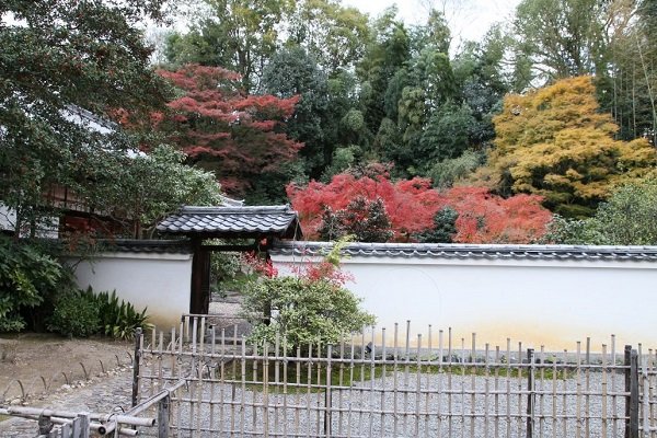 a beautiful scenery of Autumn in Kyoto