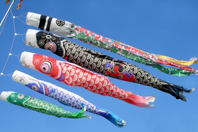 carp flags koinobori for children's day