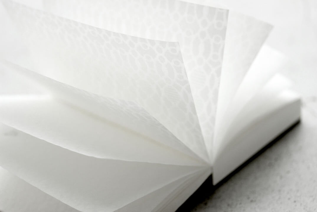 Mino Washi Japanese Paper –The Beauty of Passion and Delicacy