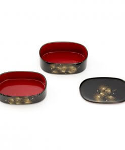 Wajima lacquerware bento box, Japanese lunch box, layers and lid