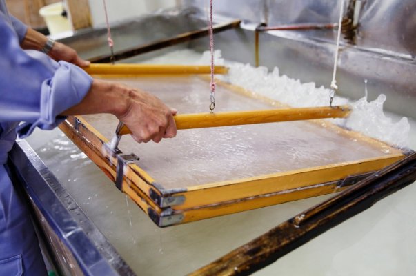 Etchu washi Japanese paper, a Japanese crafts, making process "Suki" of Washi