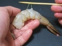 Easy recipe for Temari Sushi, making process of removing shrimp gut