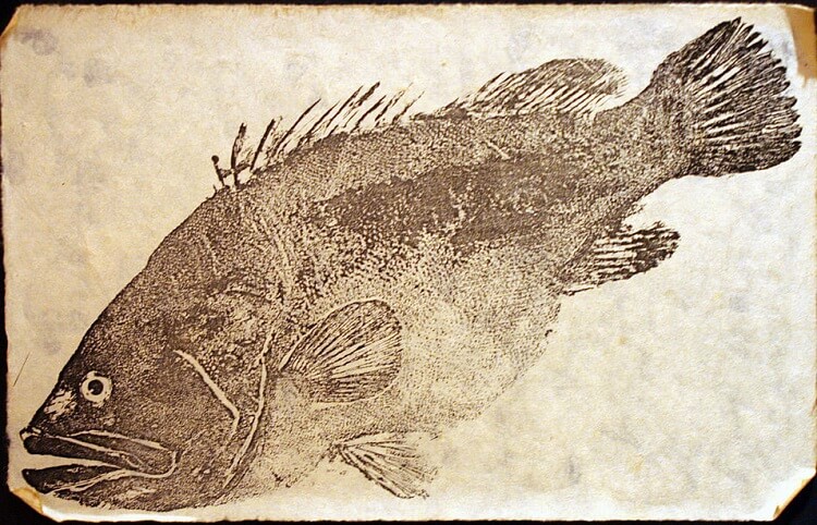 Gyotaku fish print, a Japanese traditional technique, traditional style print