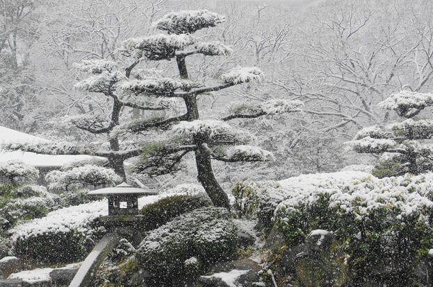 winter snowing scene in Japan